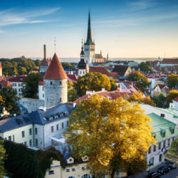 бизнес в Естония